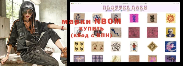 прущие грибы Гусь-Хрустальный