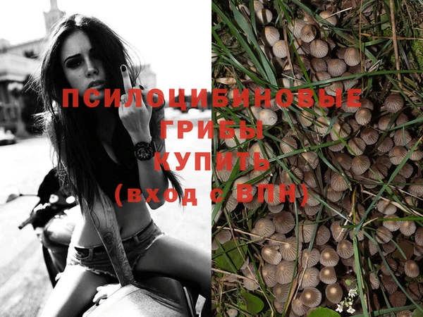 СК Гусев