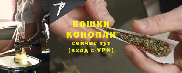 дживик Горняк