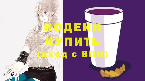 СК Гусев