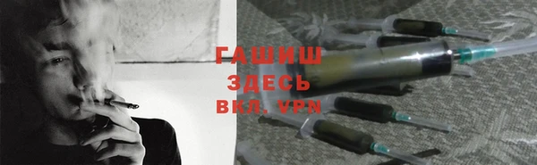 прущие грибы Гусь-Хрустальный