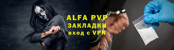 прущие грибы Гусь-Хрустальный