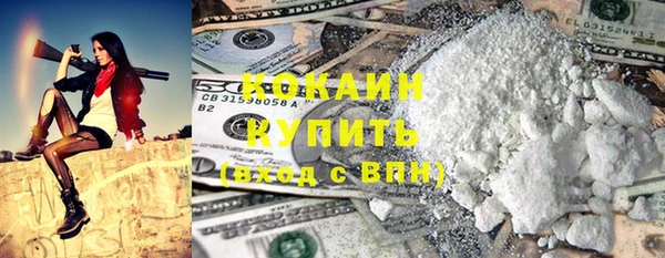 прущие грибы Гусь-Хрустальный