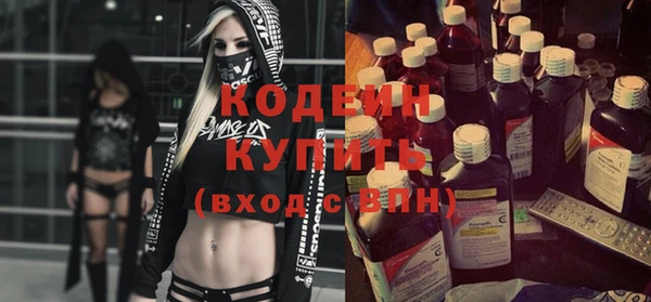 шишки Горнозаводск