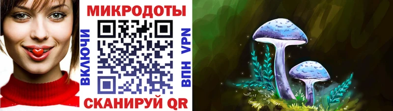 Псилоцибиновые грибы мухоморы ссылка на мегу как войти Жирновск